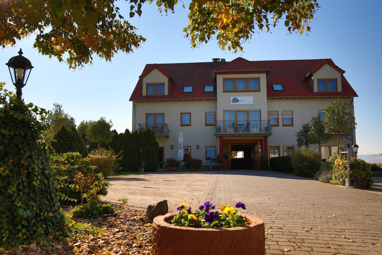 Fetzers Landhotel Ингелхайм ам Рейн Екстериор снимка