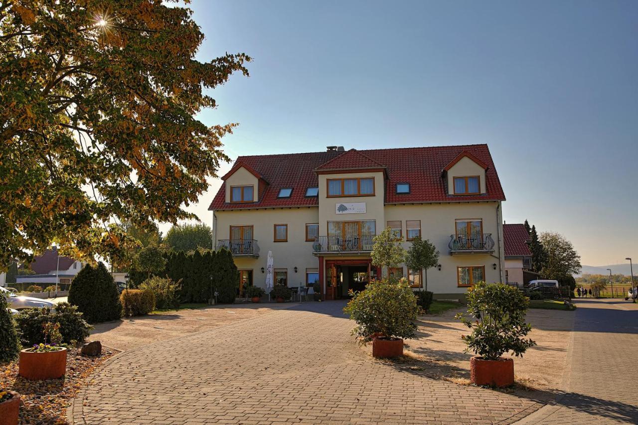 Fetzers Landhotel Ингелхайм ам Рейн Екстериор снимка